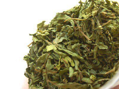 Stevia Seca Hoja de Stevia rebaudiana seca