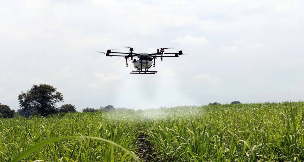 Aplicacion de herbicida con drone
