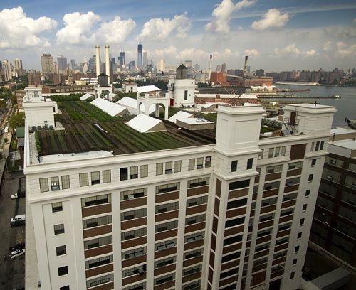 Brooklyn grange 2