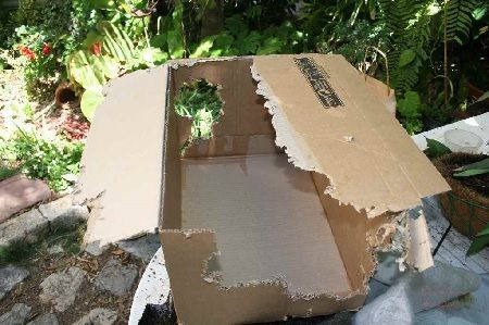 Caja de cartón y digestor de papel Caja de cartón y digestor de papel