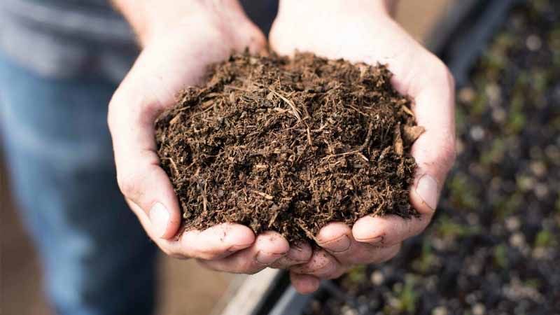 Calidad del compost