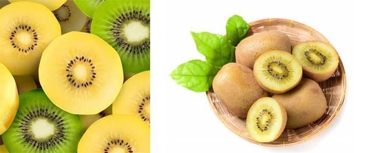 Características del kiwi color amarillo