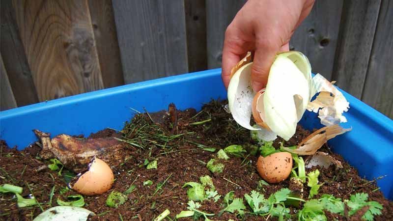 Compost rápido
