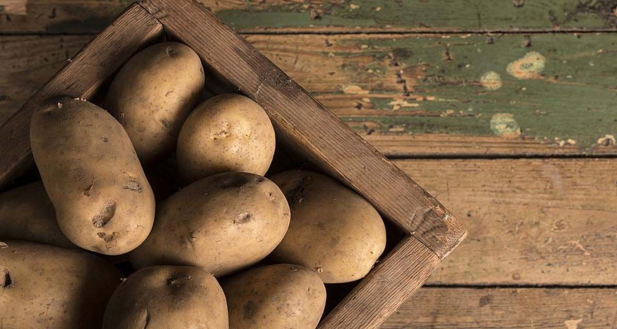 Conservar patatas en casa