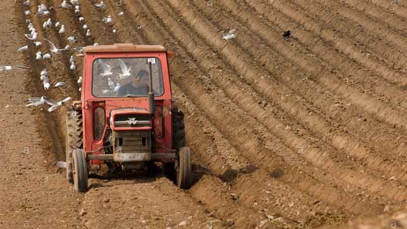 Cultivo en caballones
