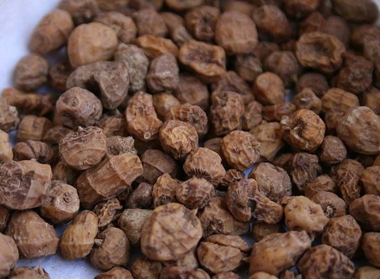 chufa fruto