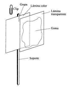 Esquema trampa cromática para Frankliniella occidentalis