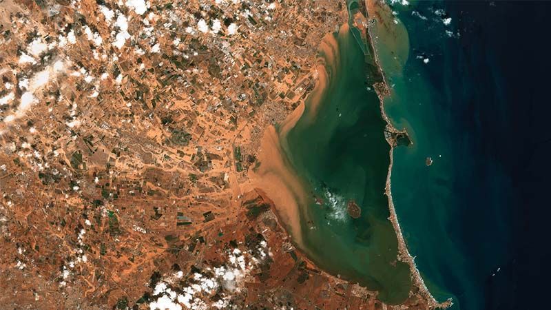 Eutrofización Mar Menor
