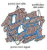 Fases líquida y gaseosa de un suelo