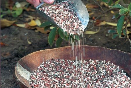 Fertilización y abonado con sulfato de potasio
