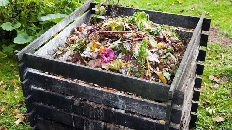 Formación de compost