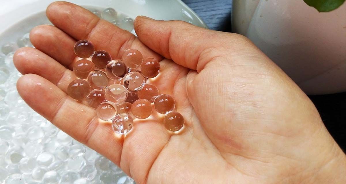 Hidrogel para plantas