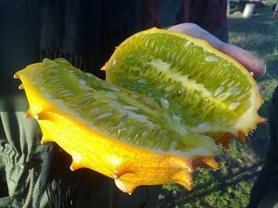 Kiwano fruto