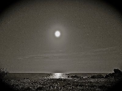 Luz de la luna sobre los cultivos Luz de la luna sobre los cultivos