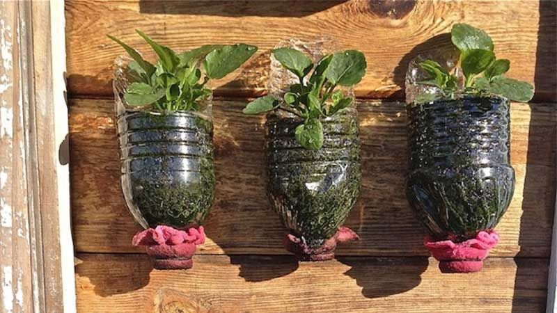 Maceteros botellas de plástico