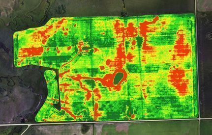 índices de vegetación - NDVI