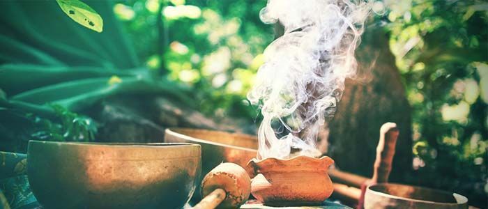 Principios activos salvia divinorum