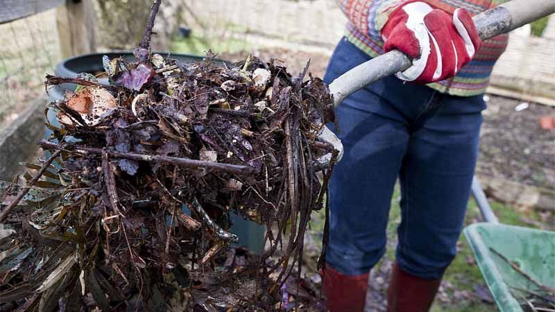 Problemas del compost
