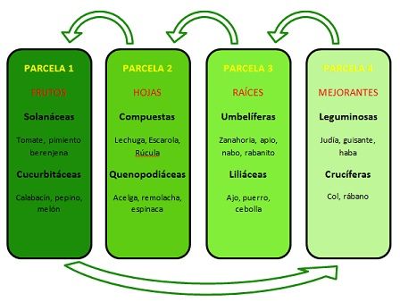 Rotación Rotación de cultivos