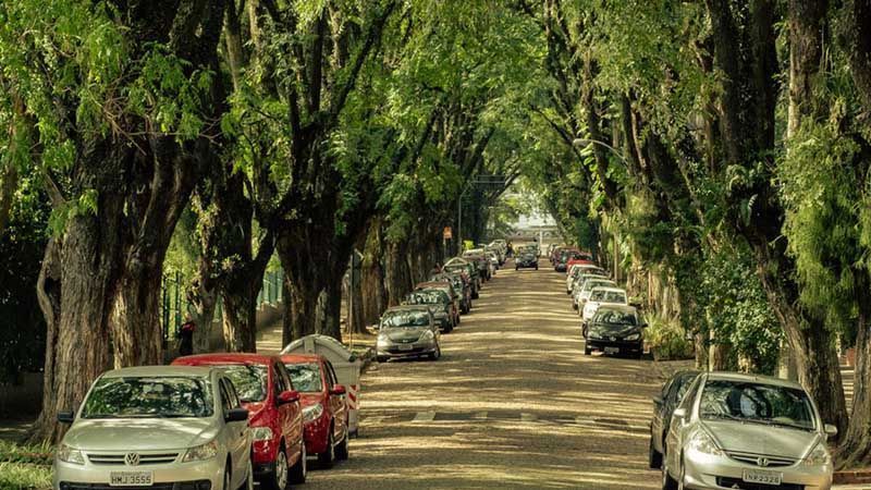 Rua Gonçalo de Carvalho