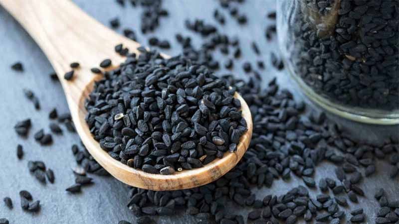Semillas de Nigella sativa