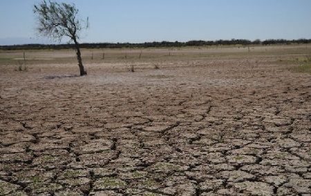 Suelo seco sin tempero Suelo seco sin tempero