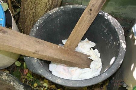 Tela nido y maderos. Digestor de papel Tela nido y maderos. Digestor de papel