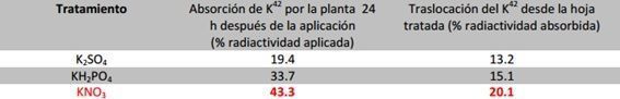 Tiempo de absorción y eficacia en tratamientos foliares