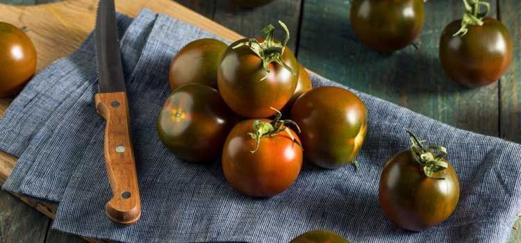 Tomate Kumato