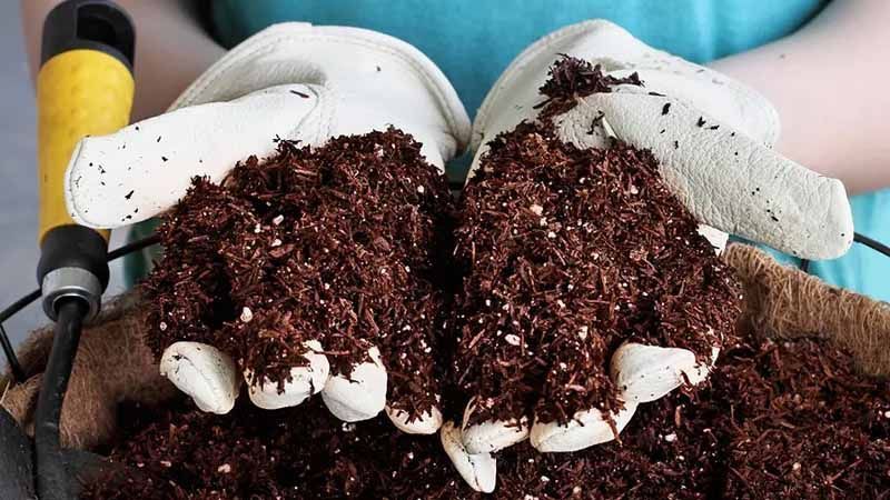 Uso de la fibra de coco