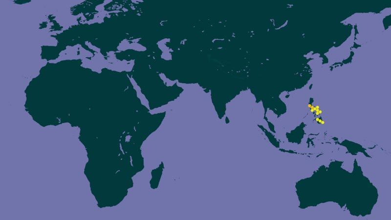 distribución mundial de alocasia zebrina