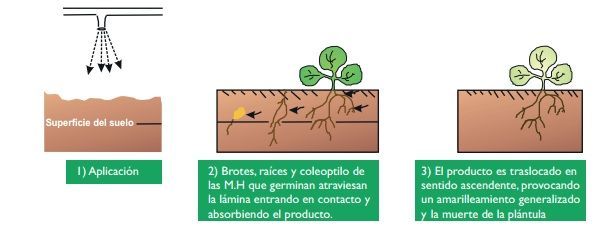 aplicación de herbicidas en preemergencia