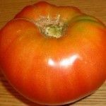 baladre Variedades de tomates