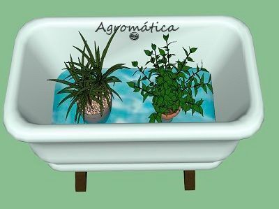 bañera planta bañera planta