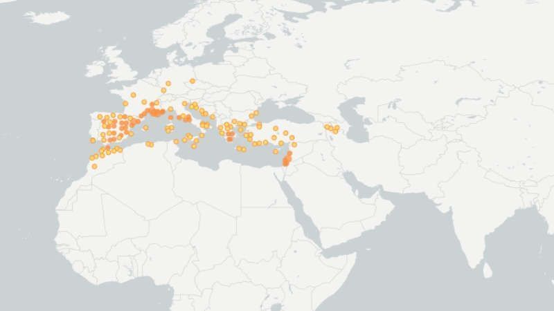 belesa distribución
