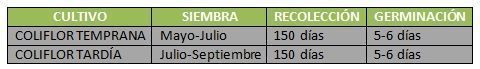 calendario coliflor calendario coliflor. Hortalizas