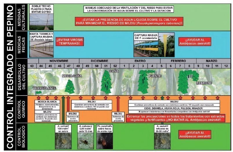 calendario de lucha integrada en cultivo de pepino