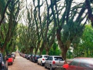 calle ciudad verde