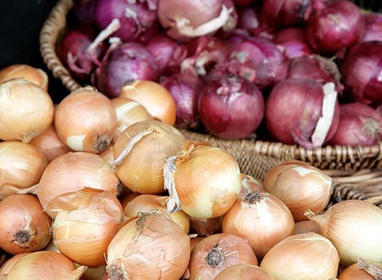 Variedades de cebolla