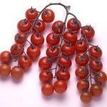 cherry Variedades de tomates