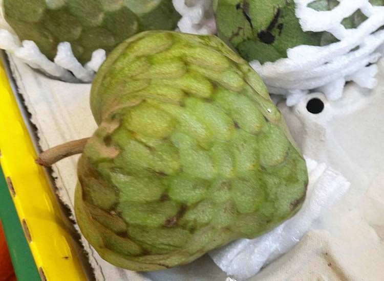 chirimoya fruta