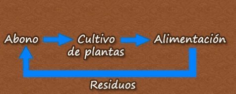 ciclo huerto ciclo huerto