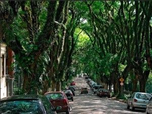 Rua Goncalo de Carvalho ciudad verde Rua Goncalo de Carvalho ciudad verde