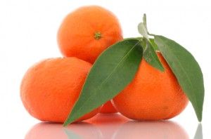 clementinas variedades de cítricos