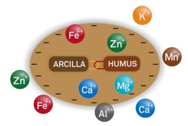 Complejo arcillo-húmico, inhibidores de la nitrificación