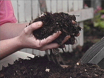 compost