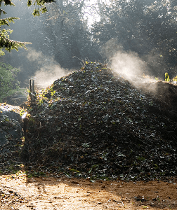 compost generando calor