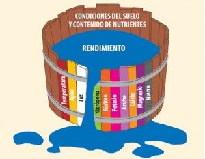 condiciones del suelo Abonado de frutales
