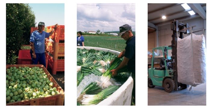 conservación y manipulación de alimentos