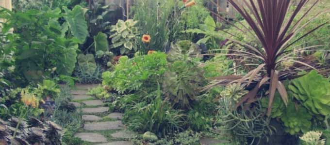 cultivo de plantas de jardín